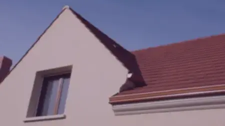 démoussage toiture à Pontivy - image 4