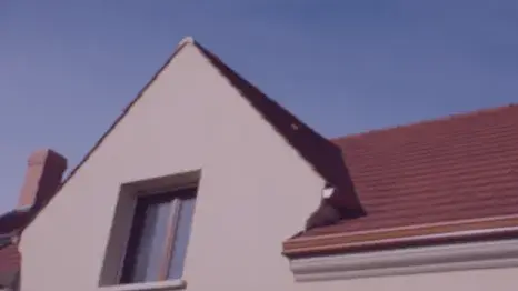 démoussage toiture à Saint-Thuriau - image 2
