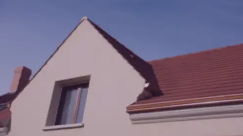 ravalement de façade à Réguiny - image 4